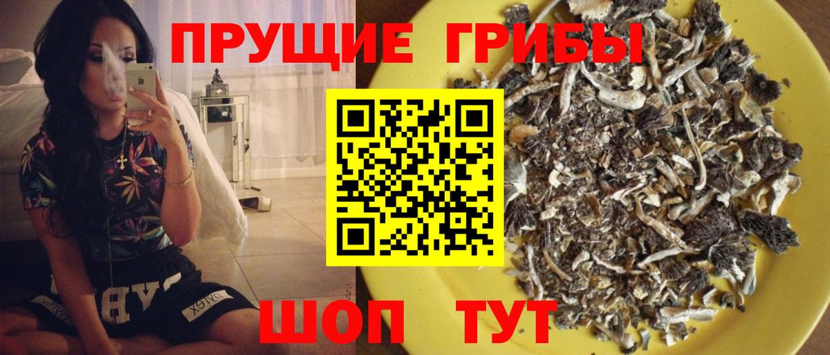 Муравленко  Псилоцибиновые грибы прущие грибы  наркошоп  Вход с VPN 