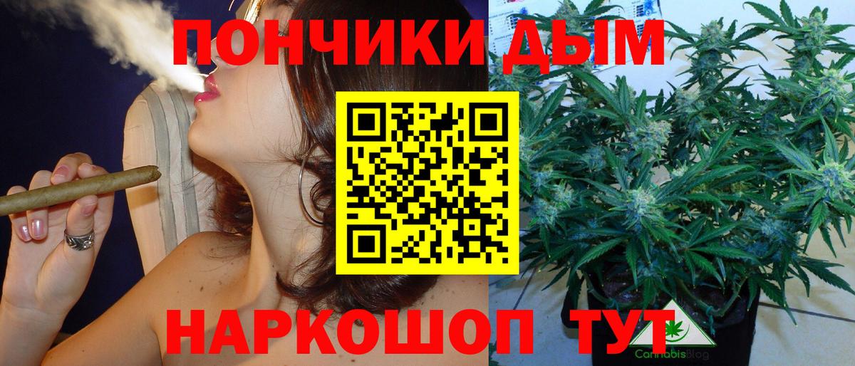 Канабис сатива Муравленко